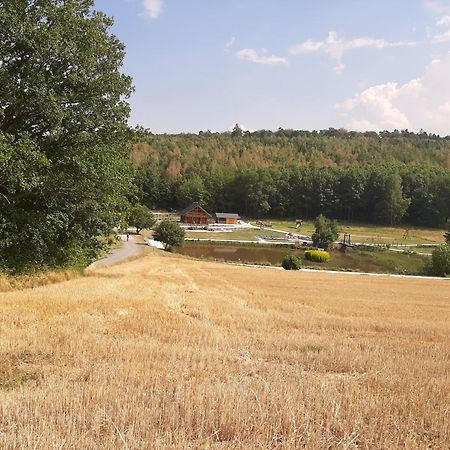 Residenz Moselstausee Sankt Aldegund Dış mekan fotoğraf