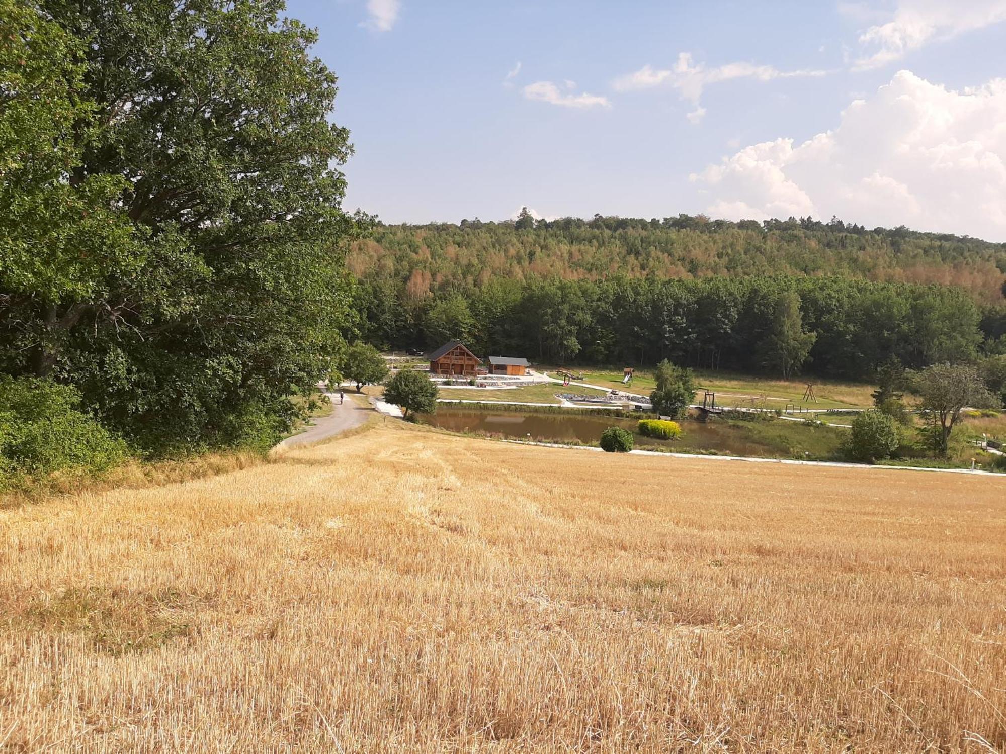 Residenz Moselstausee Sankt Aldegund Dış mekan fotoğraf