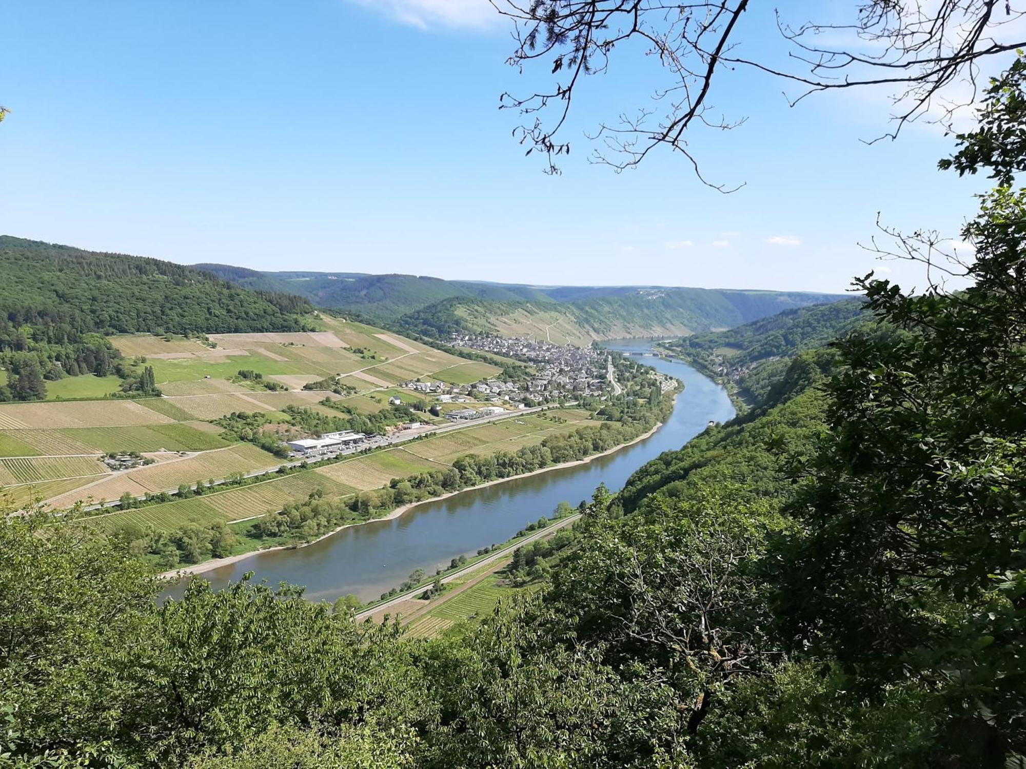 Residenz Moselstausee Sankt Aldegund Dış mekan fotoğraf