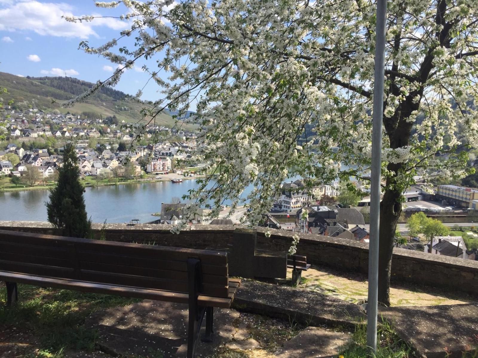 Residenz Moselstausee Sankt Aldegund Dış mekan fotoğraf