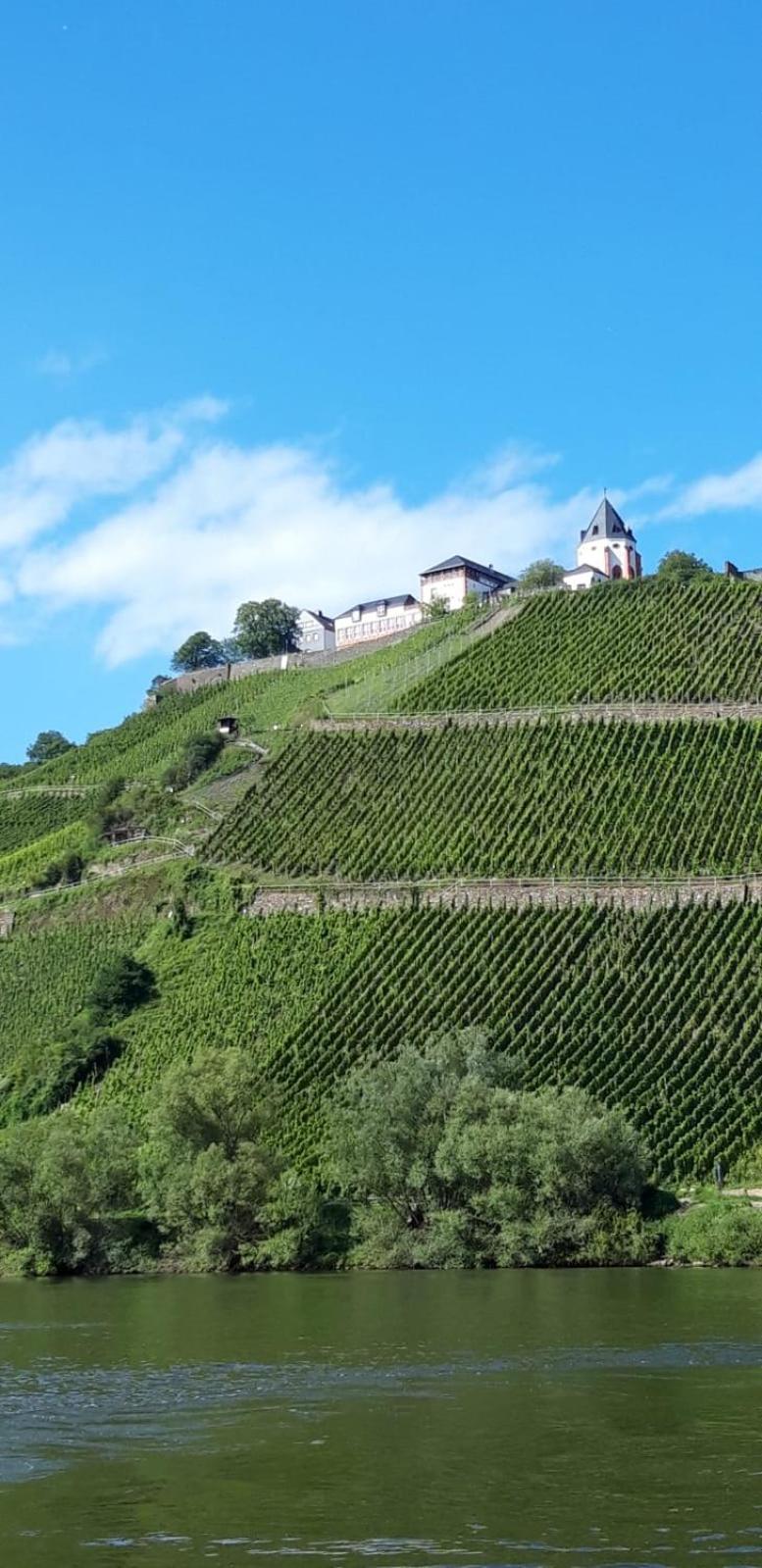 Residenz Moselstausee Sankt Aldegund Dış mekan fotoğraf