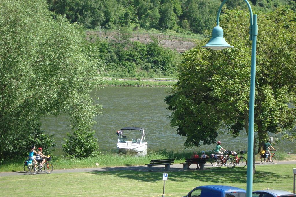 Residenz Moselstausee Sankt Aldegund Dış mekan fotoğraf
