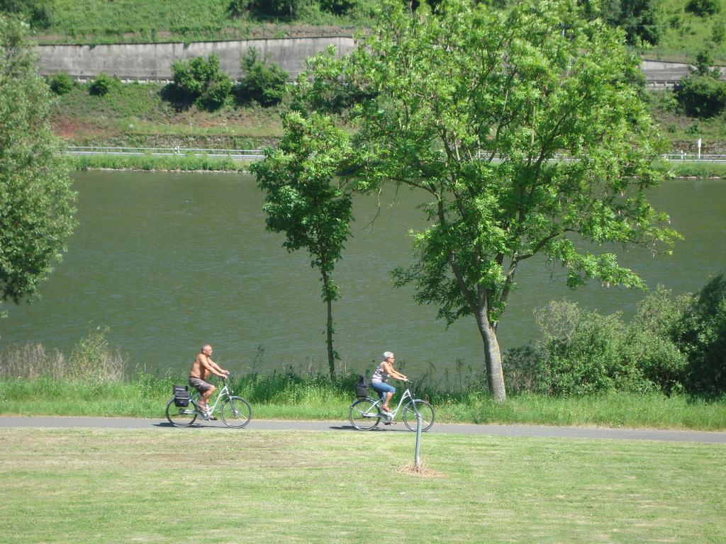 Residenz Moselstausee Sankt Aldegund Dış mekan fotoğraf