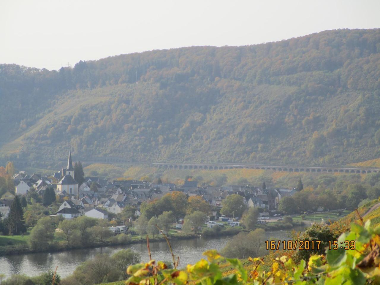 Residenz Moselstausee Sankt Aldegund Dış mekan fotoğraf